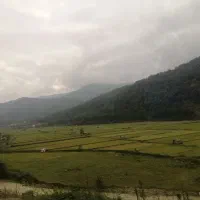 دسته کارگر می‌خوام 20هکتار نخود دارم