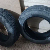 لاستیک ال نود