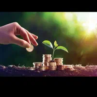 نیازمند سرمایه