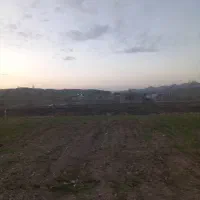 زمین.  کشاورزی