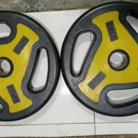 صفحه هالتر 15 کیلویی دو عدد