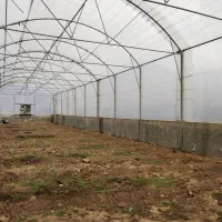 سازه گلخانه