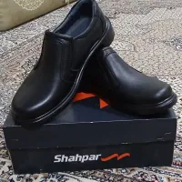 ۳ عدد کفش شهپر سایز ۴۲