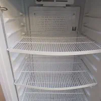 یخچال مغازه|یخچال و فریزر|اسفرورین, |دیوار