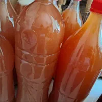 ابغوره خانگی