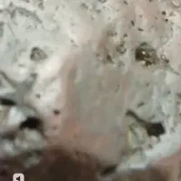 شهاب سنگ سه کیلو