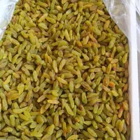 کشمش ابگیری