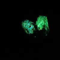 گوهر شب چراغ