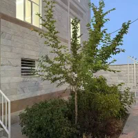 130متر و 3خواب/فاز۲/فول امکانات/نماسنگ و شیک