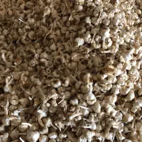 سیر|خوردنی و آشامیدنی|ایلام, |دیوار