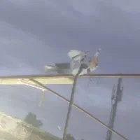 کفتر یا کبوتر یکجایی