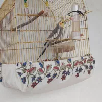 عروس هلندی