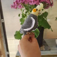 عروسک