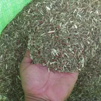 خریدوفروش خار شتر درجه یک کلی و جزی
