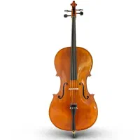 نمایندگی رسمی انواع ویالن سل Cello در ایران اصلی