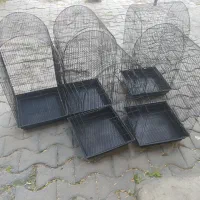 قفس طوطی