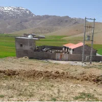 اجازه-گاوداری