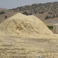 کاه جو