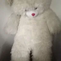 اسباب بلزی