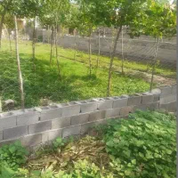 زمین 372 متری ساحلی شمالی