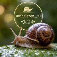 پرورش حرفه ای حلزون برای اولین بار در ساوه