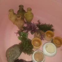 کوزه وماهی
