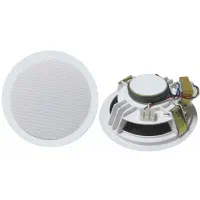 اسپیکر سقفی،باندسقفی، سیستم صوتی سقفی،باندتوکار