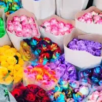 گل رز طبیعی
