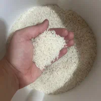 برنج ایرانی مینودشت