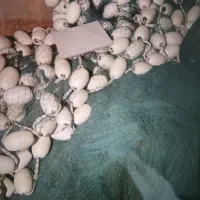 جل گردی پرسه ای