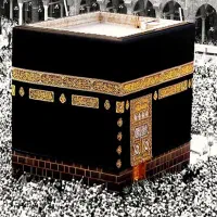 ۲عدد فیش حج عمره