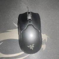 Razer Viper mini|قطعات و لوازم جانبی رایانه|تهران, بلوار کشاورز|دیوار