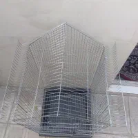 قفس پرنده