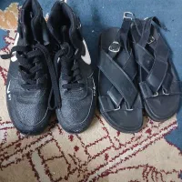 صندل وکتونی