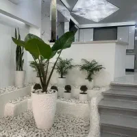 ۱۵۵ متر تک واحدی بدون مشابه در منطقه
