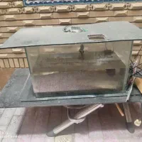 اکواریوم