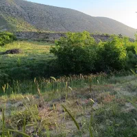 فروش-زمین-کشاورزی-و-باغی-بیضا-روستای-جورگ