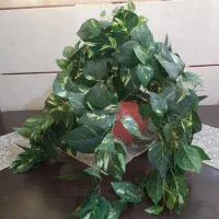 گل پوتوس مصنوعی با گلدان سرامیکی