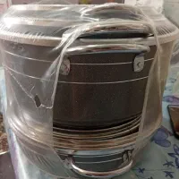 قابلمه طوسی زنبوری