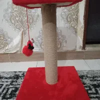 اسکرچر  و اسباب بازی گربه