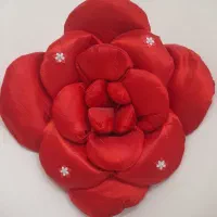 گل پارچه ای داخل ابر