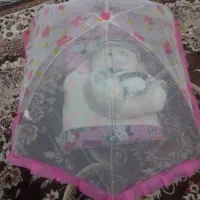 پشه بند