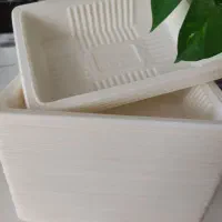 ظروف یکبار مصرف