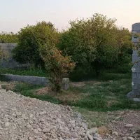 باغچه-500متر-جاده-پوستی-درختان-مثمر