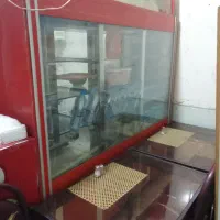 2عددبخچال هم فریزر صندوقی چهار درب با ایستاده6درب