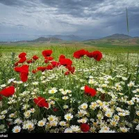 عشق، یعنی بودن... حتی وقتی نیستید