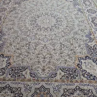 دو جفت قالی ۱۲ متری