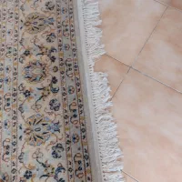فرش|فرش|تهران, هفت حوض|دیوار