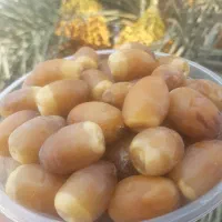 رطب گنتار تازه