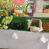 پالت میوه ،واگذاری مغازه میوه فروشی